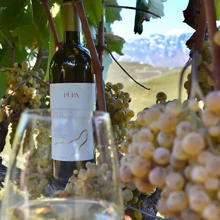 Pupa Winery Serene Берат