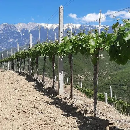 Гостевой дом Pupa Winery Serene Берат