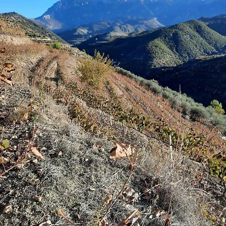 Pupa Winery Serene בית הארחה בראט