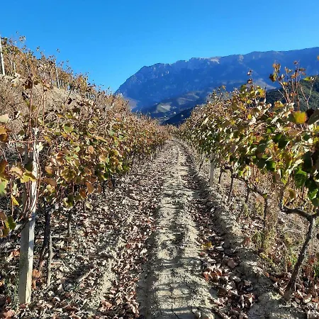 Pupa Winery Serene Berati