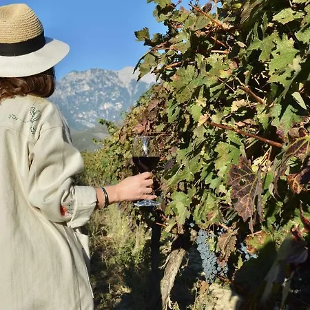 Pupa Winery Serene 3*