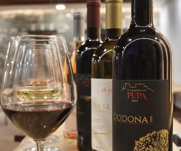 Pensión Pupa Winery Serene Berat