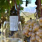 Pupa Winery Serene 베라트