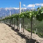 게스트하우스 Pupa Winery Serene 베라트