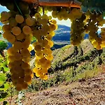 Pupa Winery Serene 게스트하우스 3*