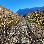 Pupa Winery Serene 베라트