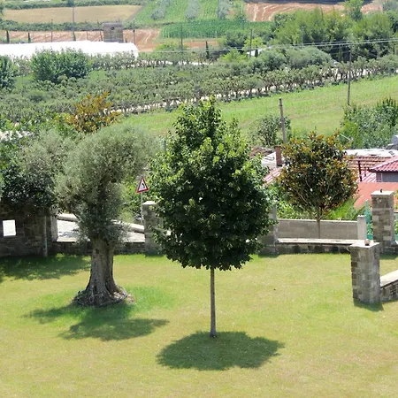 게스트하우스 Pupa Winery Serene 3*
