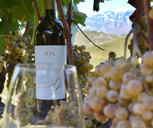 Pupa Winery Serene Μπεράτ