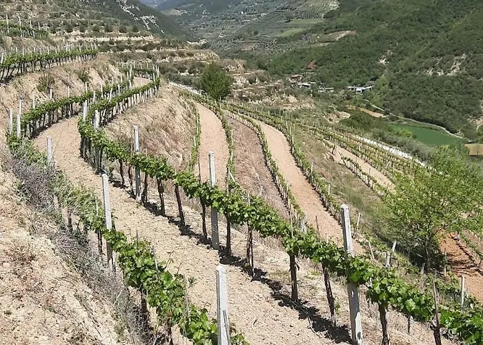 Pupa Winery Serene