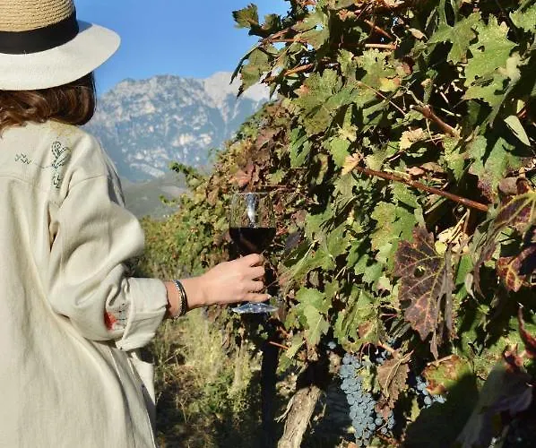 Pupa Winery Serene 3*