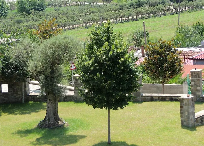 Affittacamere Pupa Winery Serene 3*